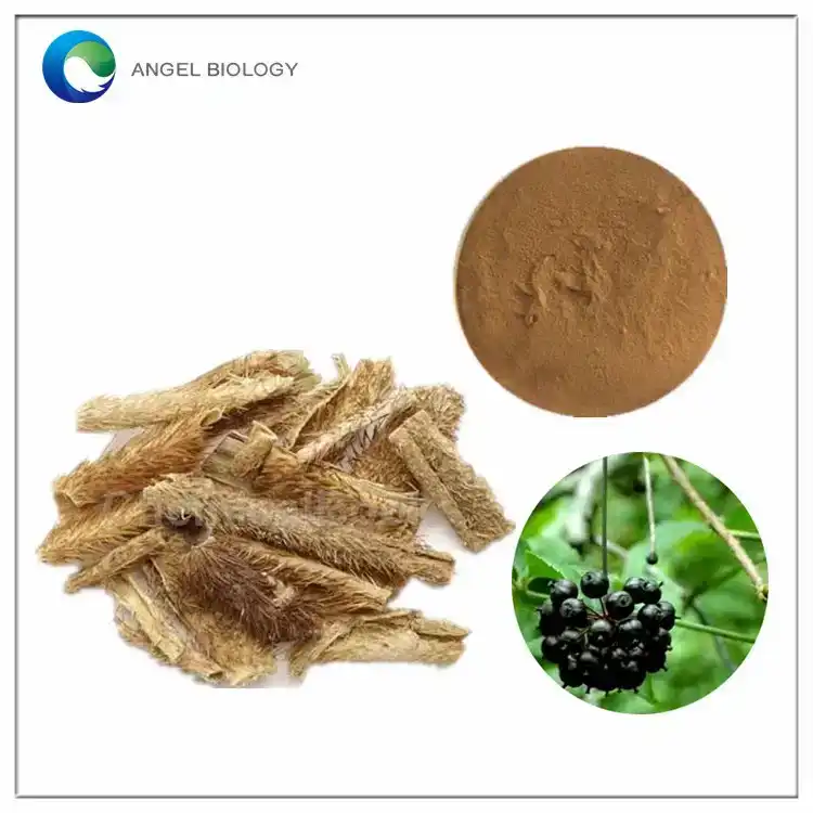 Siberian Ginseng Extract in Sports Nutrition?
